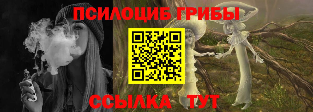 Псилоцибиновые грибы Cubensis  Псилоцибиновые грибы Psilocybine cubensis  Вход с VPN  Семилуки 